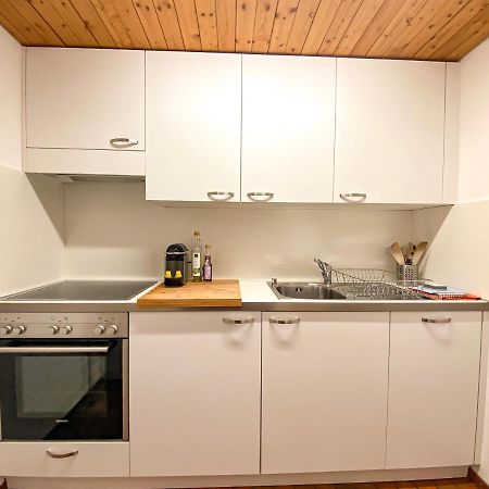 Studio Apartment Alpine Lodge 贝特默阿尔卑 外观 照片